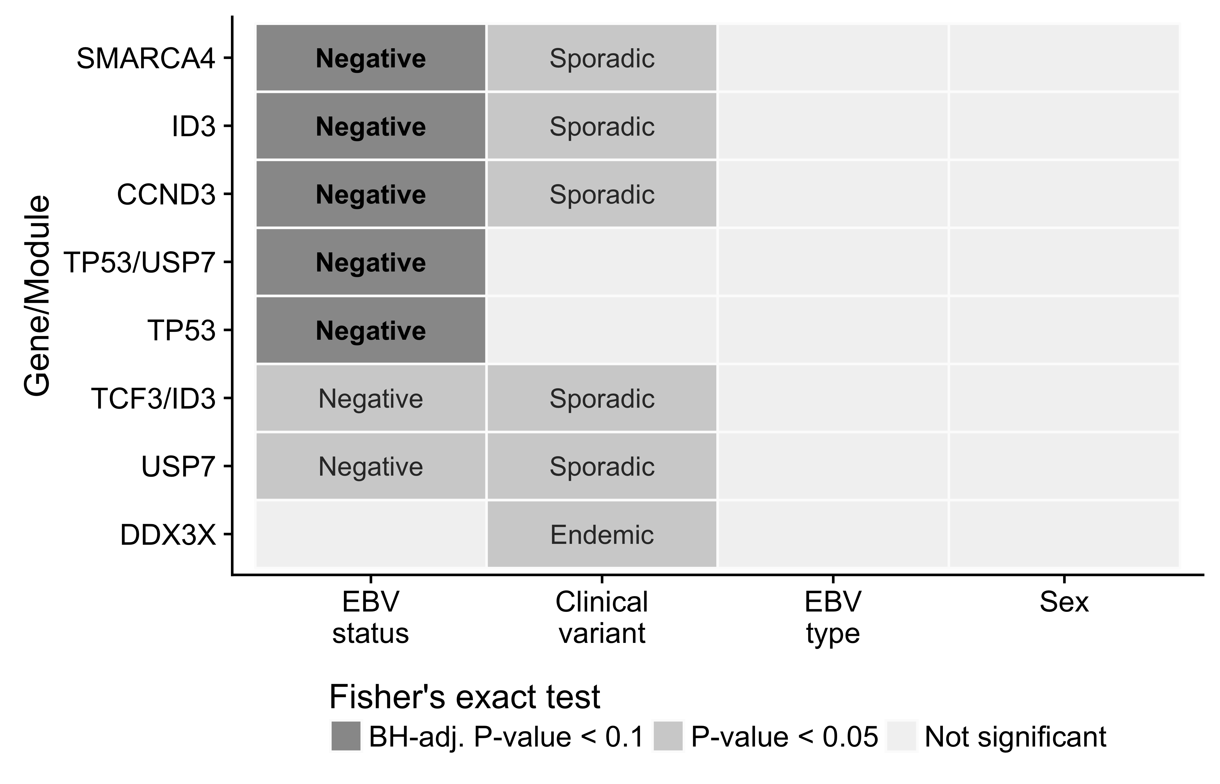 – Differential mutation rates among significantly mutated genes in BL. Only showing genes with a significant differences according to at least one classification system. The labels indicate the subtype in which mutations are more common.