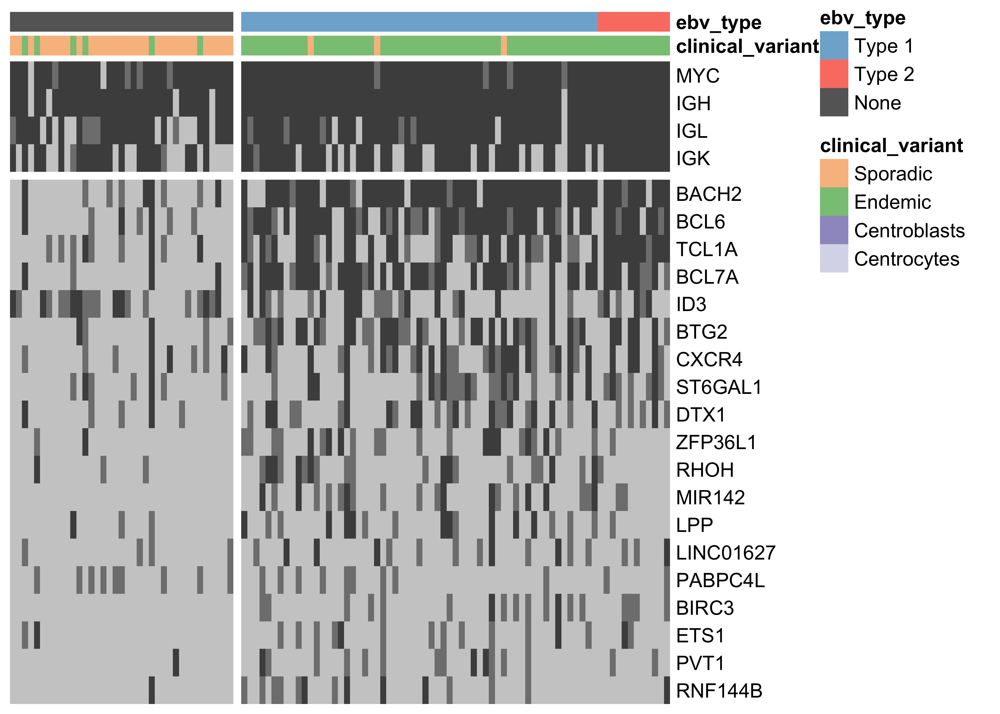 – Heat map showing the mutation rate of the most recurrently altered clusters of non-coding variants (altered in at least 15 cases). Clusters are labeled according to the nearest TSS (rows). Clusters that are associated with the same TSS are combined for plotting. Light gray denotes no mutations, and darker shades of gray indicate the presence of up to two mutations or more than two mutations, respectively.