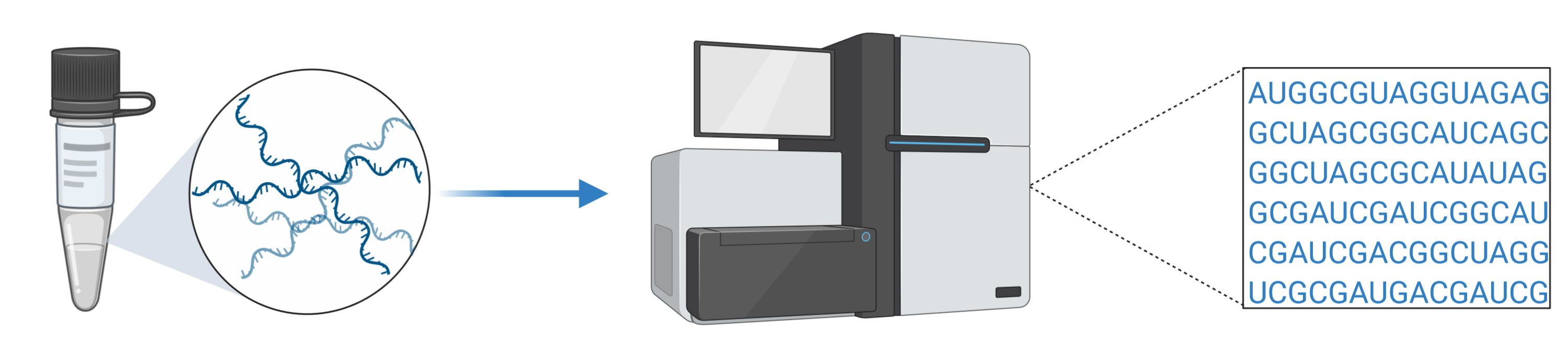 RNA sequencing